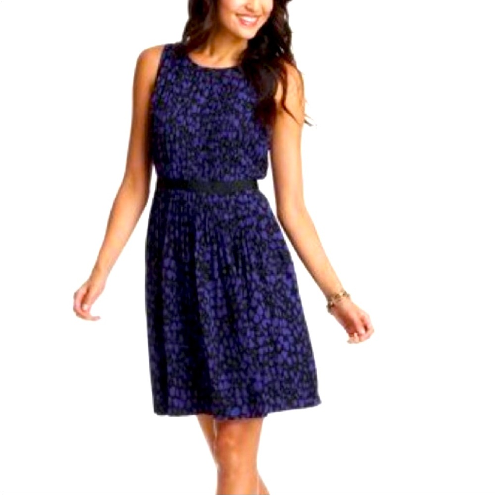 LOFT Purple Animal Print Pleated Dress